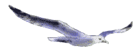 L'envol