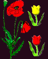 Retour du Printemps