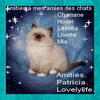 Merci à Patricia et mille bisous !