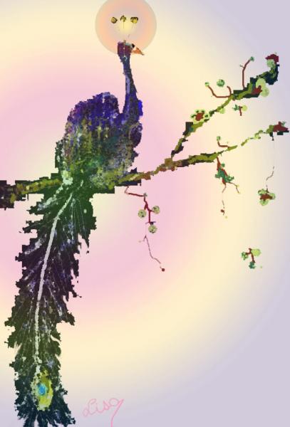 Oiseau de Paradis