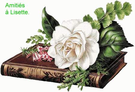 Rose de Patricia